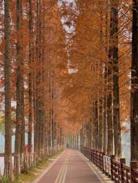 成都秋日漫遊指南，不一樣的金秋之旅