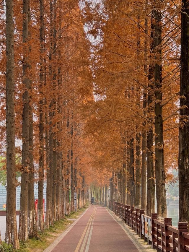 成都秋日漫遊指南，不一樣的金秋之旅