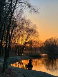 瀋陽故宮雪景酒店|推窗即是三百年盛京風華