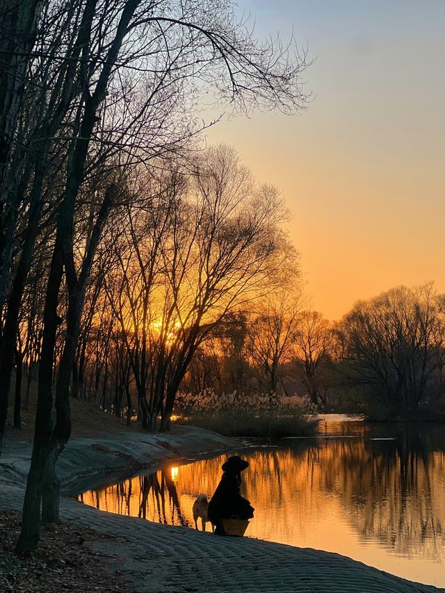 瀋陽故宮雪景酒店|推窗即是三百年盛京風華 瀋陽故宮雪景酒店|推窗即是三百年盛京風華