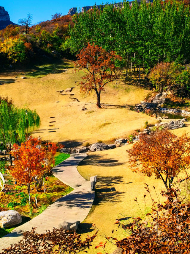 「坡峰嶺紅葉秘境·北京秋日天花板」