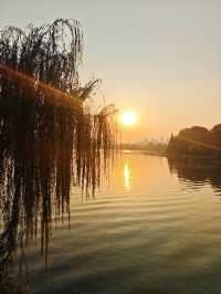 解鎖金陵秋日限定浪漫