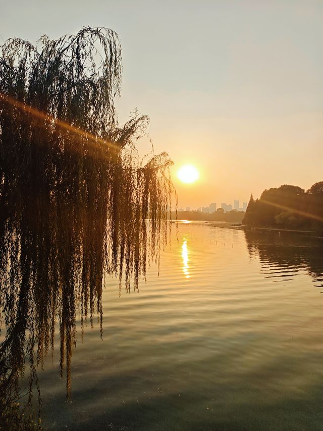 解鎖金陵秋日限定浪漫