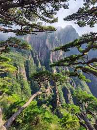 黃山30小時極限挑戰：兩天一夜保姆級攻略，解鎖100%精華體