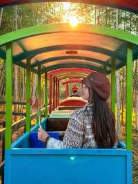 秋日速報！！收到一本宜興的童話書