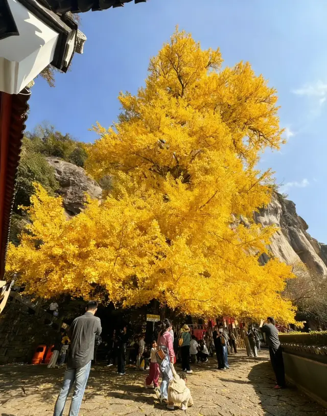 Hangzhou hides such a great place - Jiangnan Hanging Temple