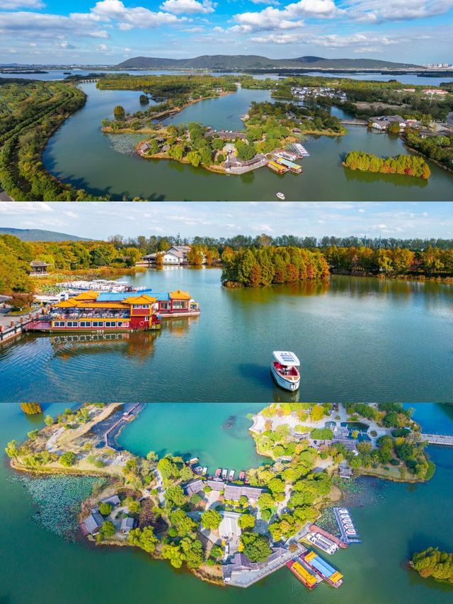 常熟尚湖秋日攻略水上森林+大雁伴飛+萌寵互動超治癒