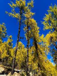 四川黨嶺徒步7日全記錄，秘境穿越指南