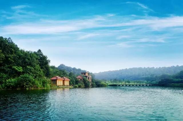 汽車下坡加油,上坡減油門的怪地方。 汽車下坡加油,上坡減油門的怪地方。