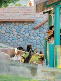 本地人親測,這裡就是泉州遛娃天花板