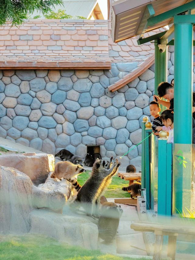 本地人親測,這裡就是泉州遛娃天花板 本地人親測,這裡就是泉州遛娃天花板