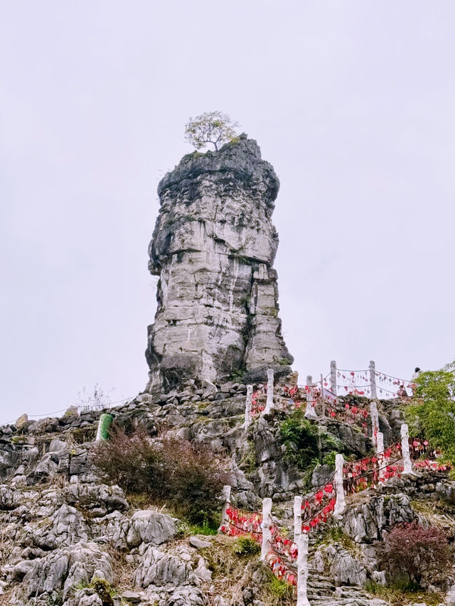 闖進了國家地理雜誌中的同款異域星球~ 闖進了國家地理雜誌中的同款異域星球~