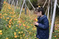 免費逛浙江第二至第七站