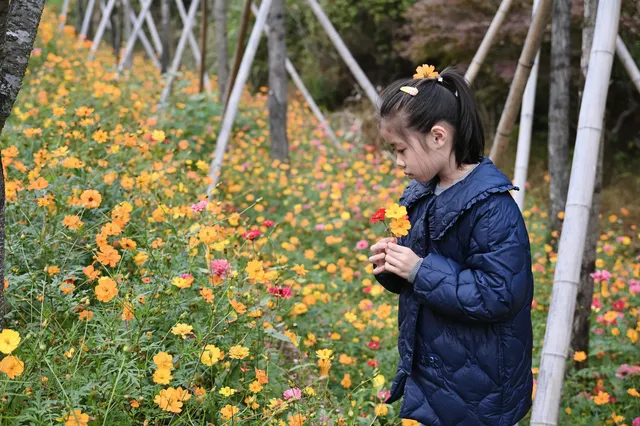 免費逛浙江第二至第七站