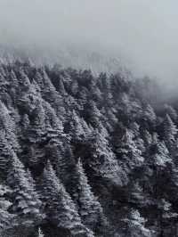 冬日昆明必打卡