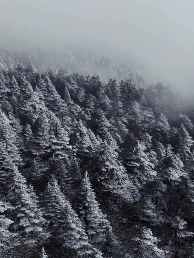 冬日昆明必打卡 冬日昆明必打卡