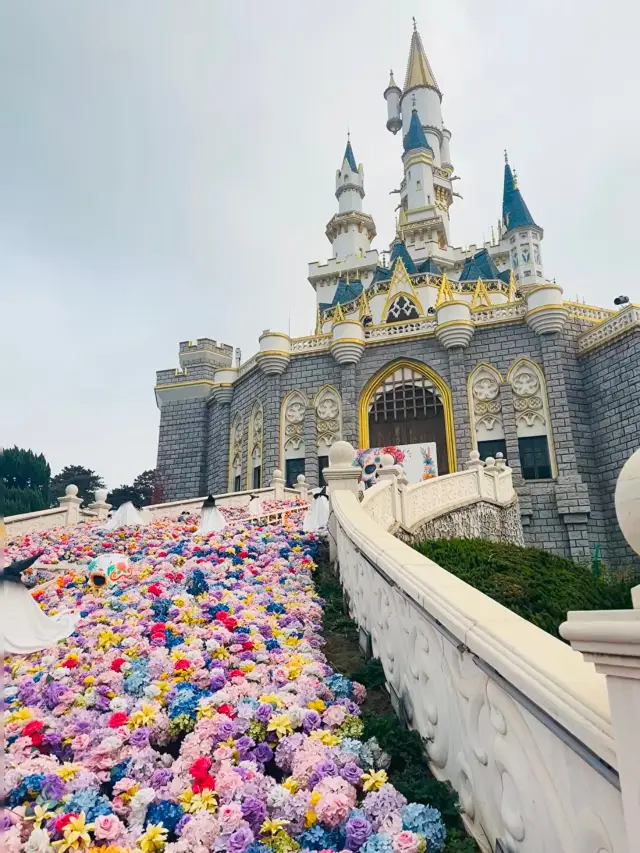 泉城歐樂堡夢幻世界狂歡指南：一場與騎士傳說的奇幻對話