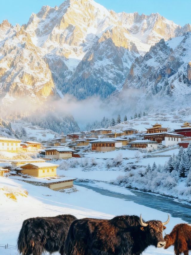 放棄哈爾濱冬天來甘南旅遊,真的贏麻了 放棄哈爾濱冬天來甘南旅遊,真的贏麻了