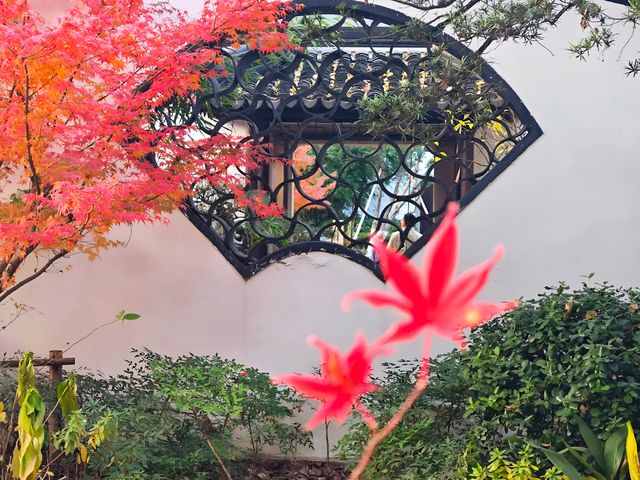 坐著11號線去看秋(上海周邊遊) 坐著11號線去看秋(上海周邊遊)