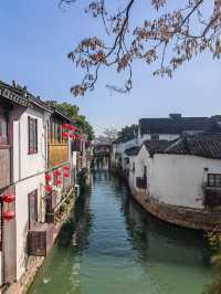 江蘇蘇州七里山塘|用一盞燈、一槳水、一場雪,寫盡詩意