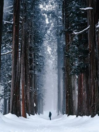 นากาโน อัญมณีที่ซ่อนเร้นในญี่ปุ่น มีความงดงามตระการตายิ่งกว่าฮอกไกโด