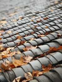 古子城的宋韻夜巷，把煙火裝入口袋