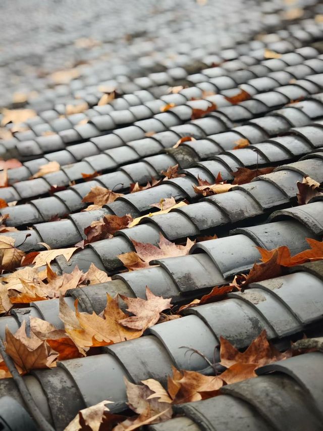 古子城的宋韻夜巷，把煙火裝入口袋