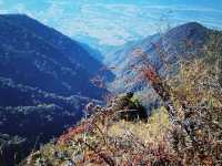 騰衝寶藏青旅！在貝雷帽青旅，我找到了旅行的意義！  這次騰衝之行，最正確的決定就是入住了貝雷帽青旅！