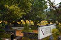 陽春山水畫廊：稻浪翻湧的金色詩篇