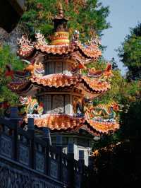 泉州西街火了！半日穿越千年，一口閩南味淪陷全網！