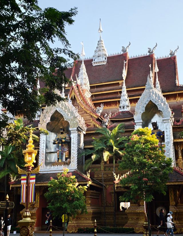 逃離寒冬！我在西雙版納過了一個25℃的夏天 