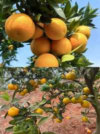 追完《烏蒙深處》執念山水，住東江湖同款網紅江景別墅