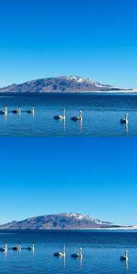 說真的!冬天的賽里木湖才是極致浪漫