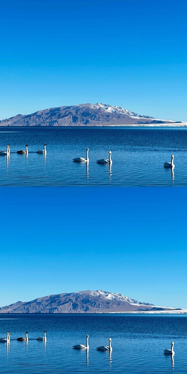 說真的!冬天的賽里木湖才是極致浪漫 說真的!冬天的賽里木湖才是極致浪漫