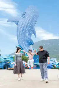 淡季的珠海長隆真的太出片啦🩵