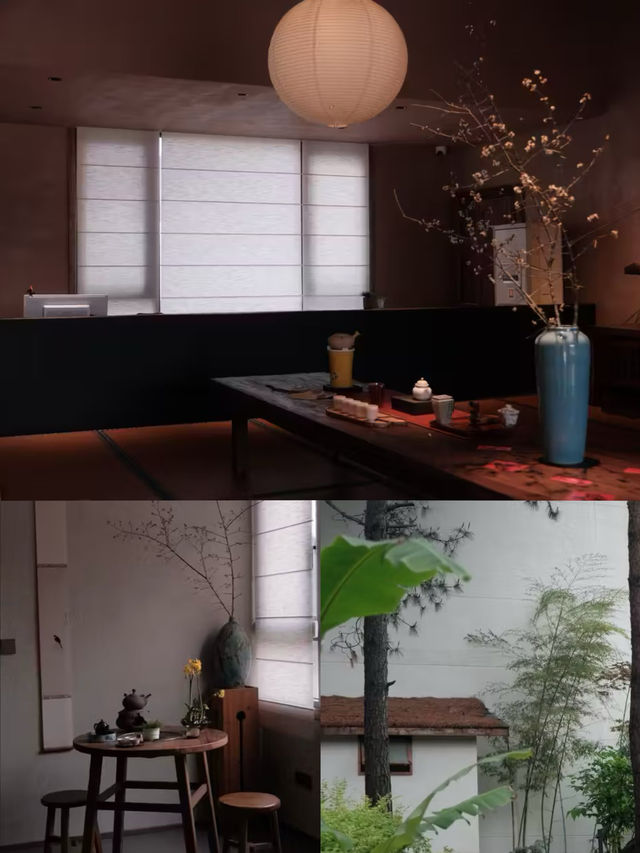 武夷山養巖山房:藏於松林的禪意棲居 武夷山養巖山房:藏於松林的禪意棲居