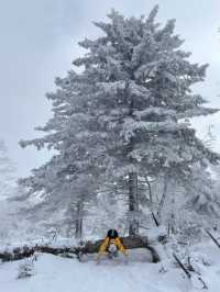 冬日仙境之旅北大湖滑雪地年度打卡記錄