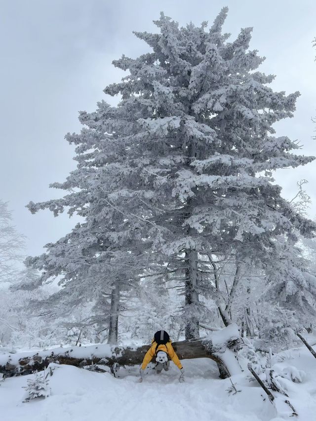 冬日仙境之旅北大湖滑雪地年度打卡記錄
