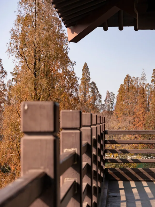 去逍遙津務必上逍遙閣中式秋景太絕了 去逍遙津務必上逍遙閣中式秋景太絕了