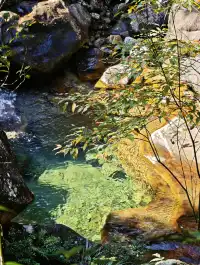 自駕分享: 武夷山國家公園一號風景道