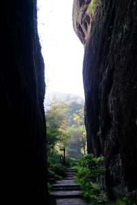 武夷山巖骨花香漫遊道:冬日裡的寧靜之旅
