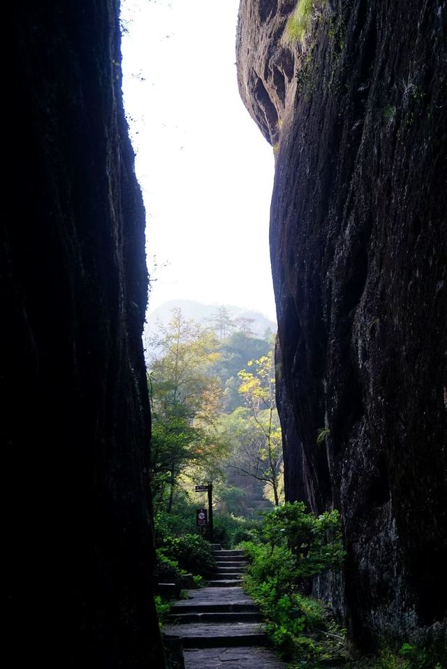武夷山巖骨花香漫遊道:冬日裡的寧靜之旅 武夷山巖骨花香漫遊道:冬日裡的寧靜之旅