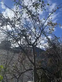 川西小環線之旅