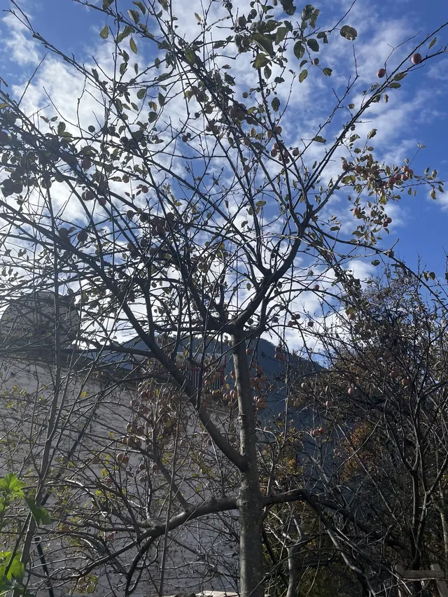 川西小環線之旅