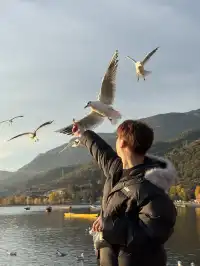 兩次瀘沽湖|寫給想慢下來的人。