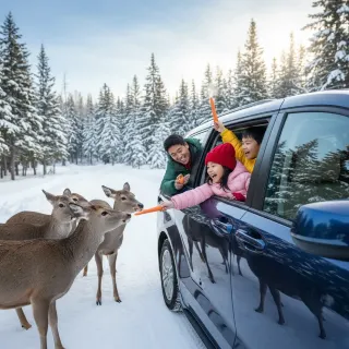 Зимнее предложение! Parc Omega — спите рядом с волками