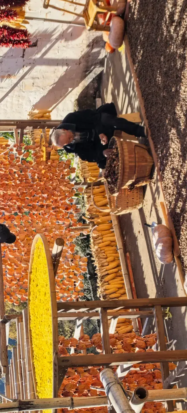 上海出發~三清山篁嶺兩日遊(三清山篇) 上海出發~三清山篁嶺兩日遊(三清山篇)