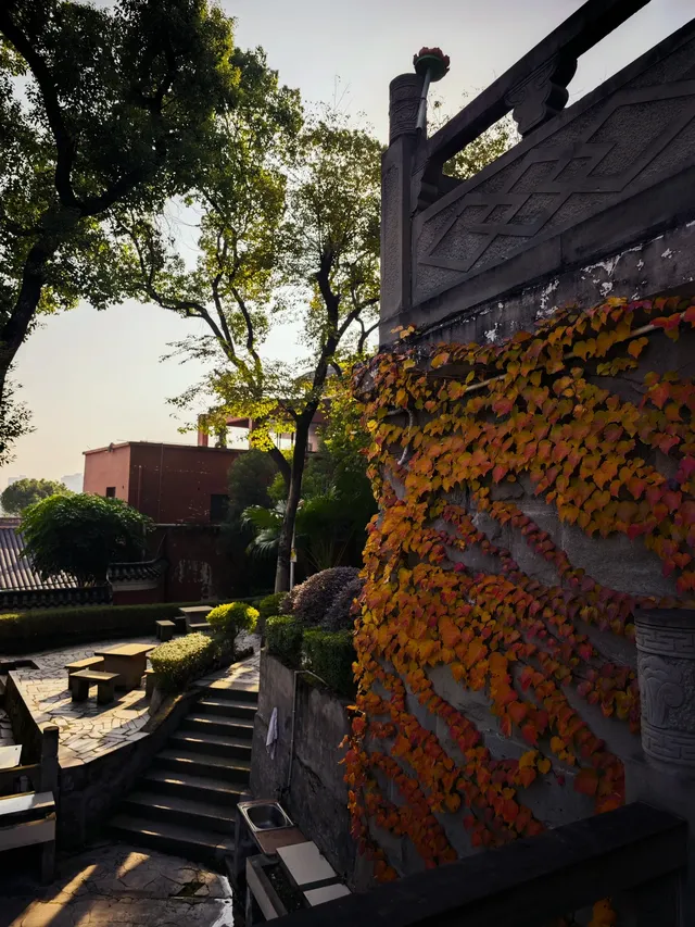 重慶寶藏地，0元闖進秋日禪意天堂