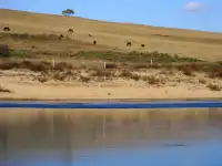 景點小評測——烏蘭布統