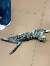 80%的人不知道的珠海本地老字號。。。